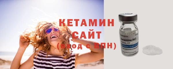 сатива Новодвинск