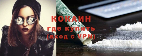 хмурый Ельня
