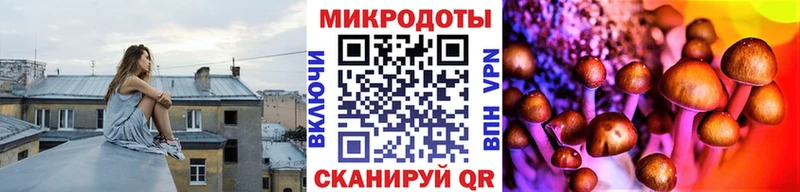 Псилоцибиновые грибы Psilocybe  Куйбышев 
