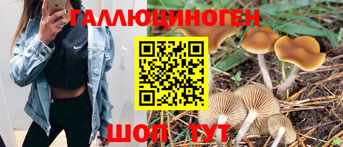 Куйбышев  Псилоцибиновые грибы GOLDEN TEACHER  Вход с VPN 