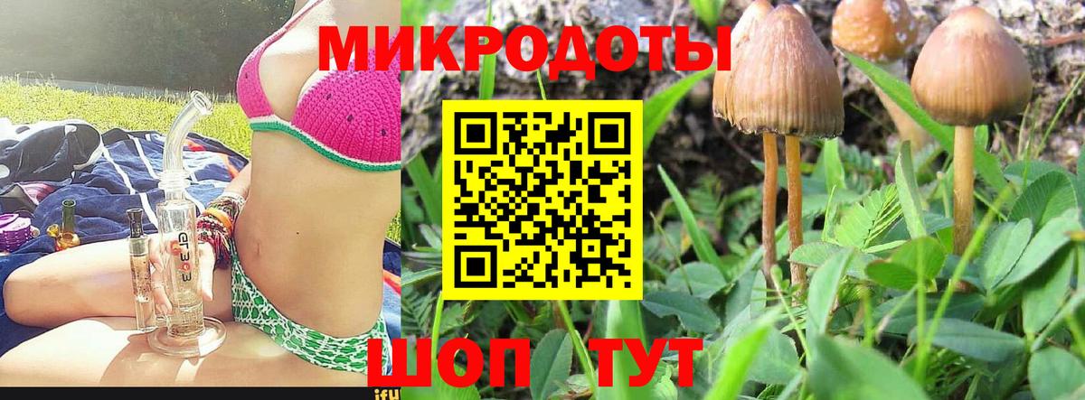 Альфа ПВП Куйбышев