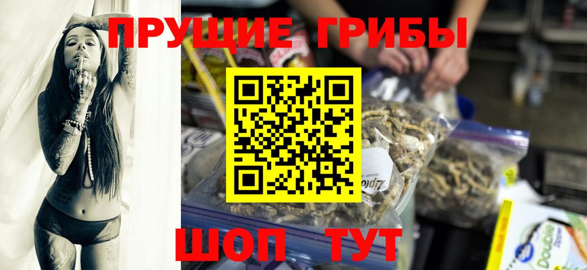 Псилоцибиновые грибы Cubensis  Псилоцибиновые грибы GOLDEN TEACHER  Куйбышев 