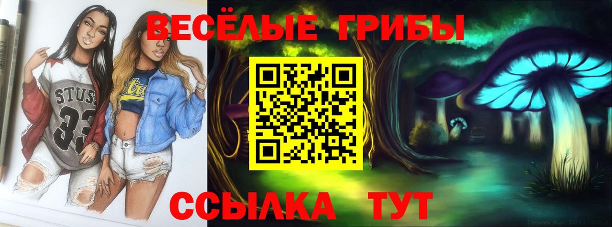 Псилоцибиновые грибы Psilocybe Куйбышев
