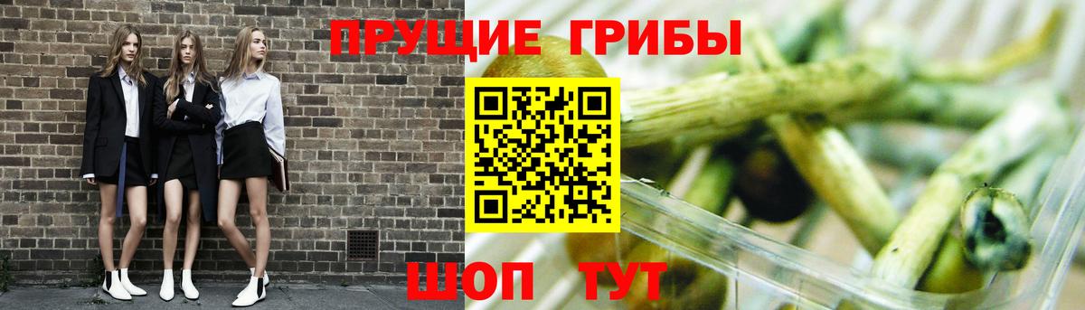 Псилоцибиновые грибы Cubensis Куйбышев